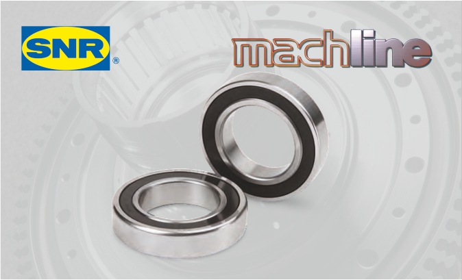 Sealed bearings