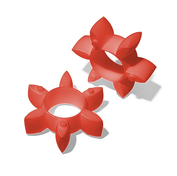 ROTEX 19 - MatNr: 020191000066